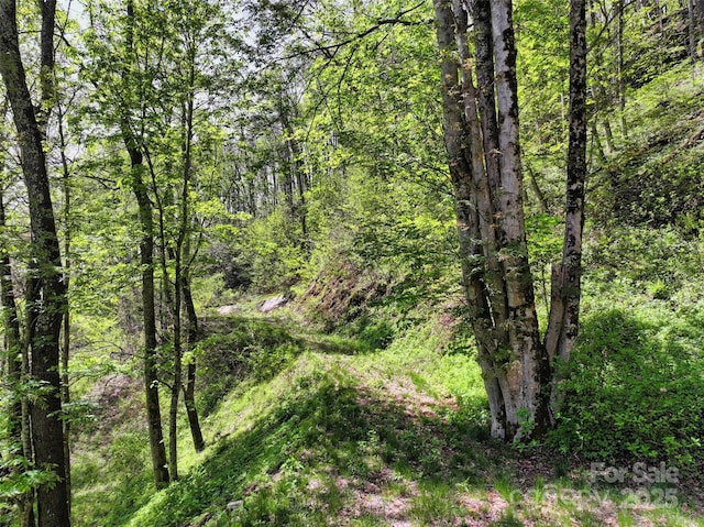 9999 Divit Rd Unit 45, Waynesville, NC 28785