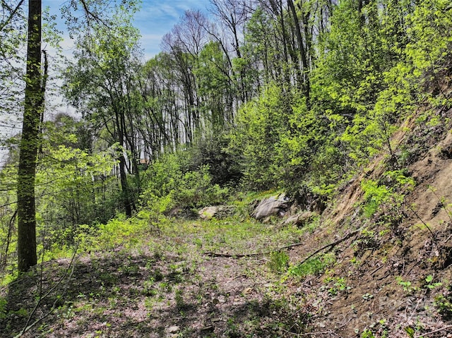 9999 Divit Rd Unit 45, Waynesville, NC 28785