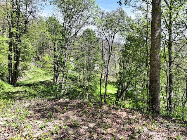 9999 Divit Rd Unit 45, Waynesville, NC 28785