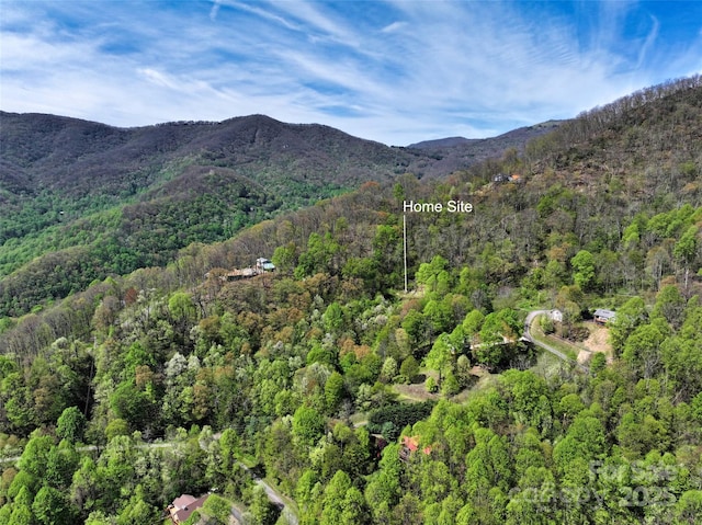 9999 Divit Rd Unit 45, Waynesville, NC 28785