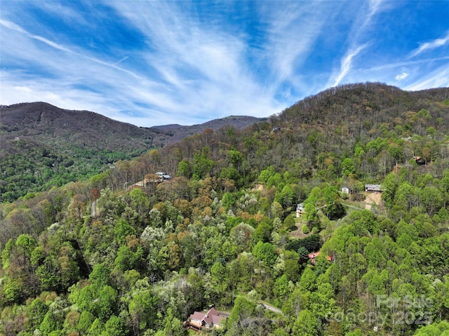 9999 Divit Rd Unit 45, Waynesville, NC 28785