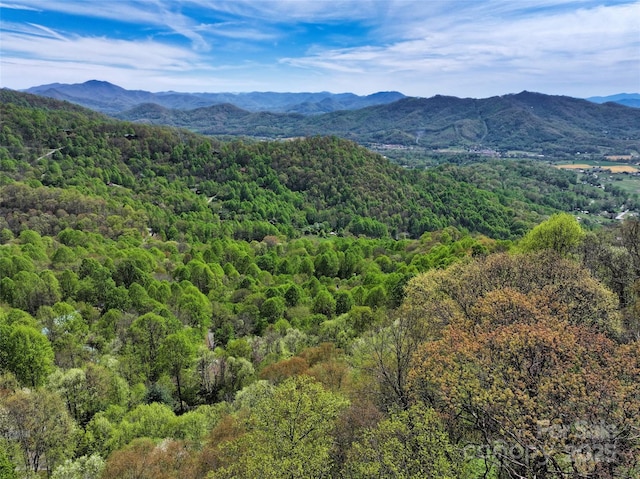 9999 Divit Rd Unit 45, Waynesville, NC 28785