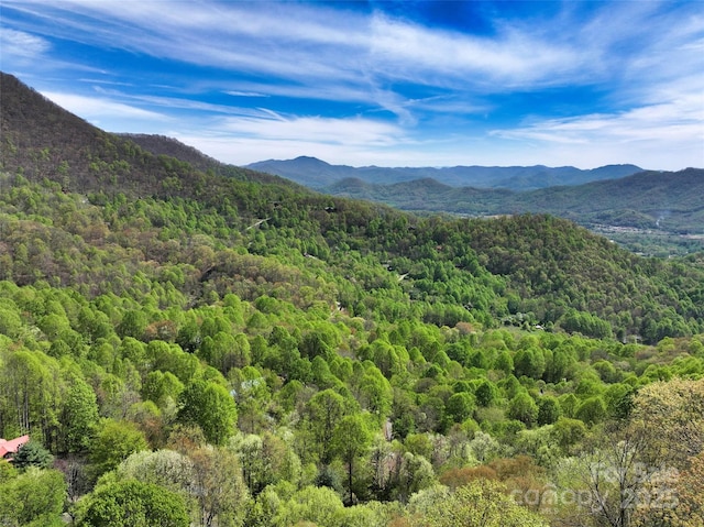 9999 Divit Rd Unit 45, Waynesville, NC 28785