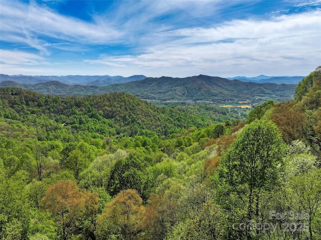 9999 Divit Rd Unit 45, Waynesville, NC 28785