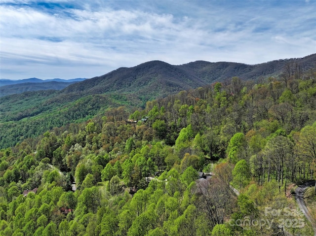 9999 Divit Rd Unit 45, Waynesville, NC 28785