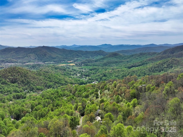 9999 Divit Rd Unit 45, Waynesville, NC 28785