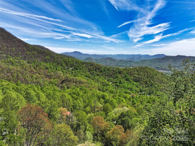 9999 Divit Rd Unit 45, Waynesville, NC 28785