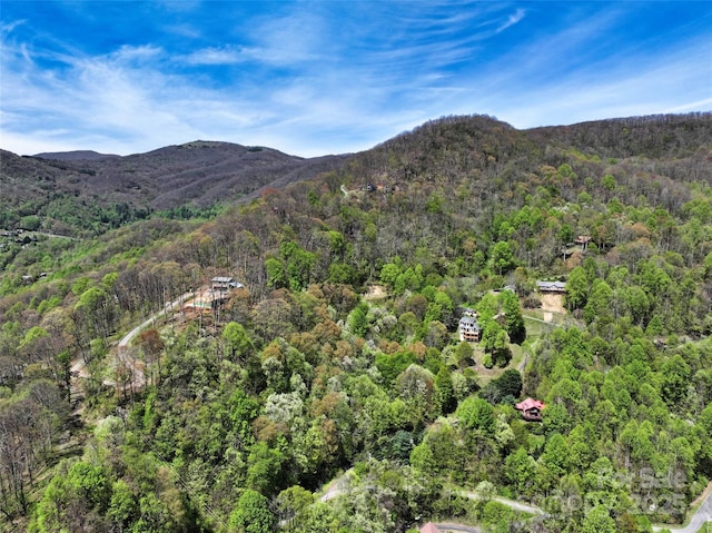 9999 Divit Rd Unit 45, Waynesville, NC 28785
