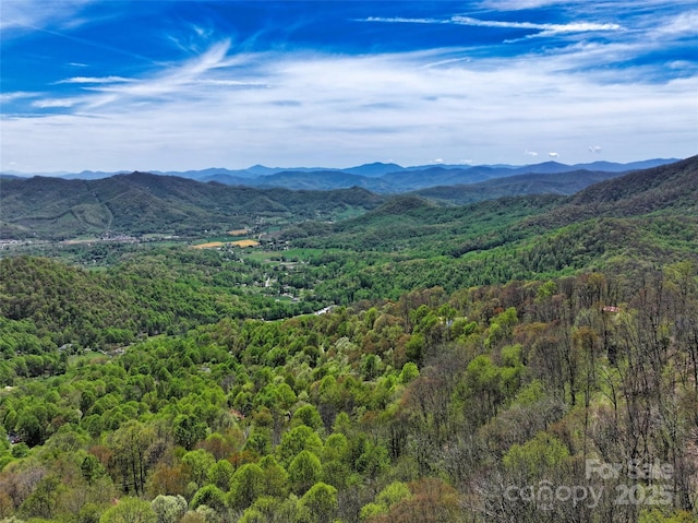 9999 Divit Rd Unit 45, Waynesville, NC 28785