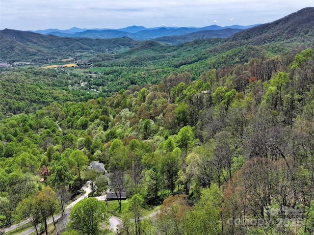 9999 Divit Rd Unit 45, Waynesville, NC 28785