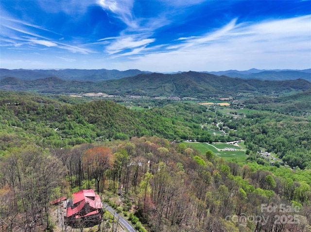 9999 Divit Rd Unit 45, Waynesville, NC 28785