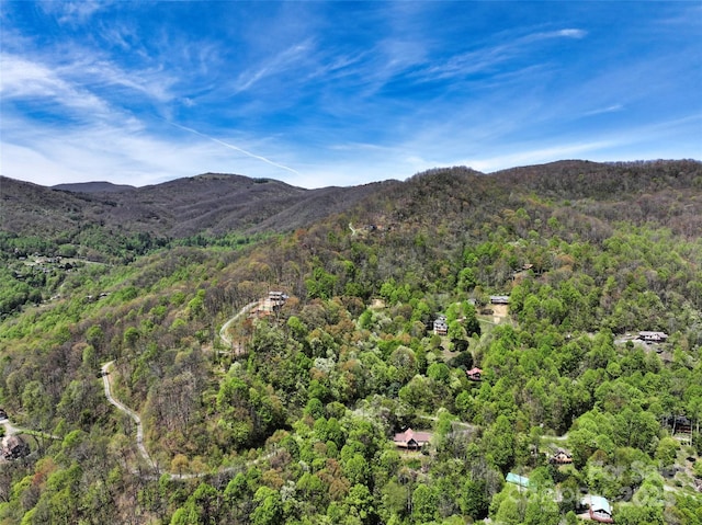 9999 Divit Rd Unit 45, Waynesville, NC 28785