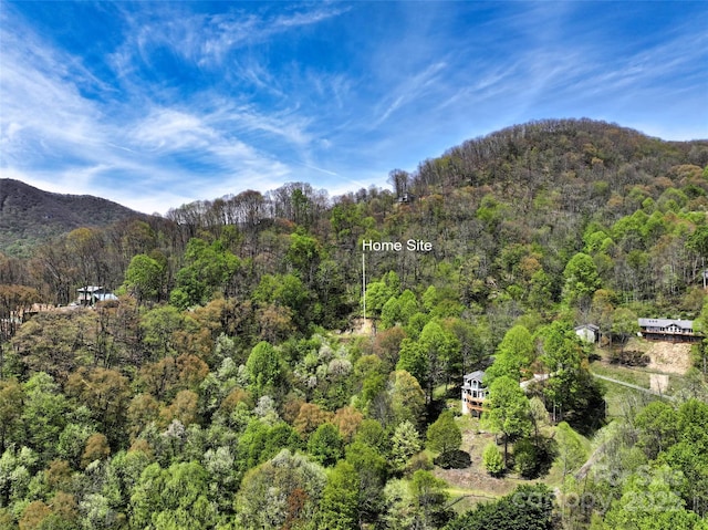 9999 Divit Rd Unit 45, Waynesville, NC 28785