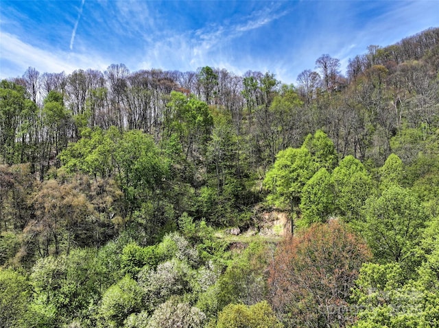 9999 Divit Rd Unit 45, Waynesville, NC 28785