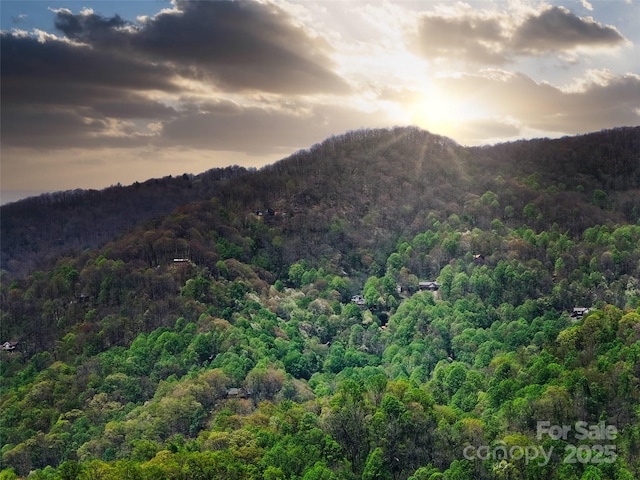 9999 Divit Rd Unit 45, Waynesville, NC 28785