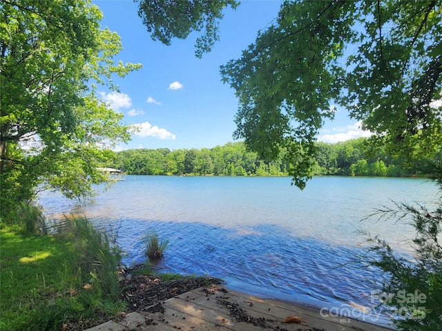 8078 Blackwood Rd, Denver, NC 28037 - water view with a forest