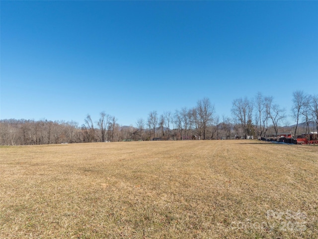 Listing photo 3 for LOT2 Garden Ln, Canton NC 28716