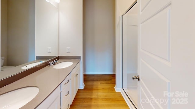 bathroom featuring wood-type flooring and vanity