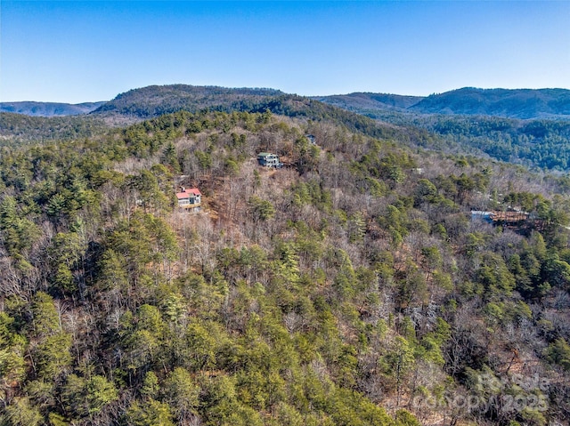 property view of mountains