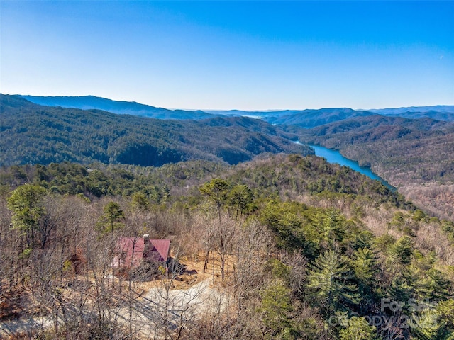 property view of mountains with a water view