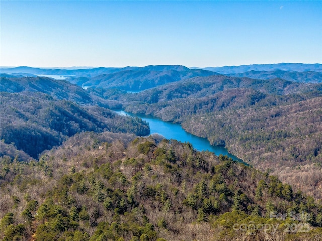 birds eye view of property featuring a water and mountain view