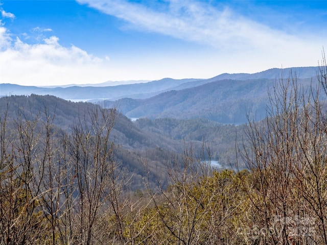 property view of mountains