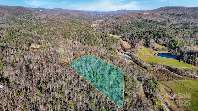 130 Brown Bear Ridge Trl, Zirconia NC, 28790 land for sale