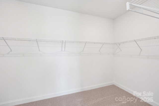604 Hyder Trl, Tega Cay, SC 29708 - walk in closet featuring light carpet