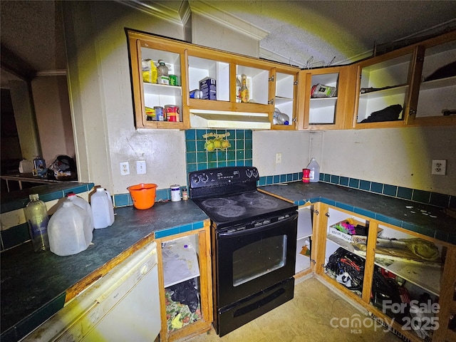 kitchen featuring black electric range oven and backsplash