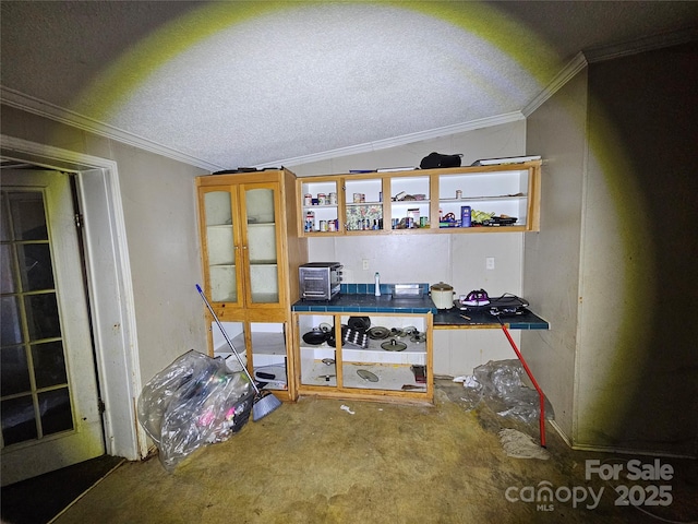 interior space with vaulted ceiling, a textured ceiling, and crown molding