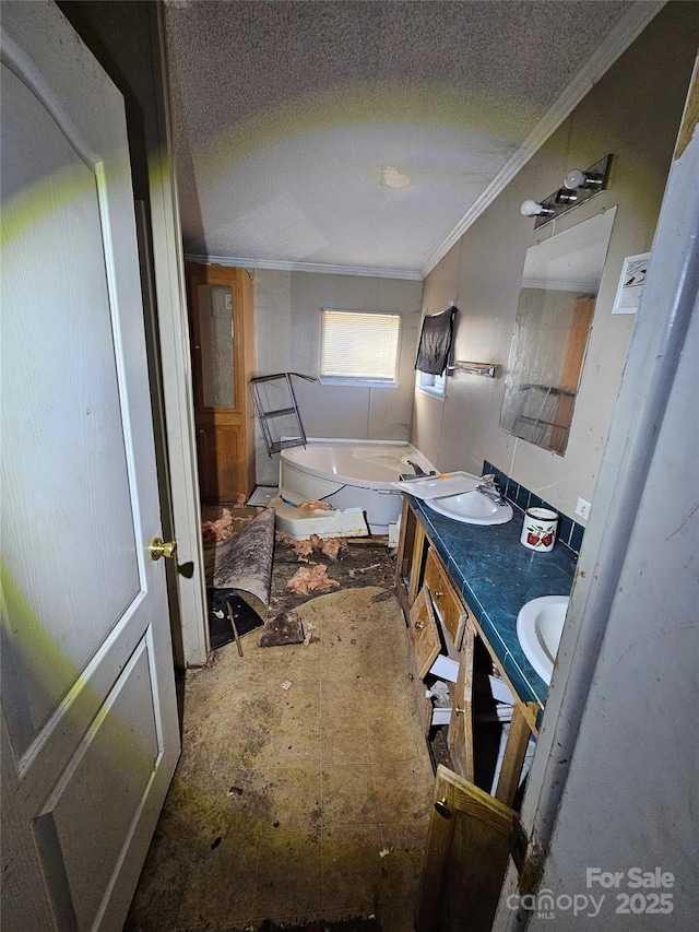 bathroom featuring vanity, a washtub, and ornamental molding