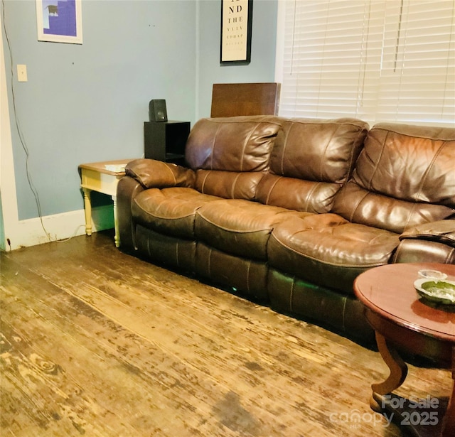 living room with hardwood / wood-style floors