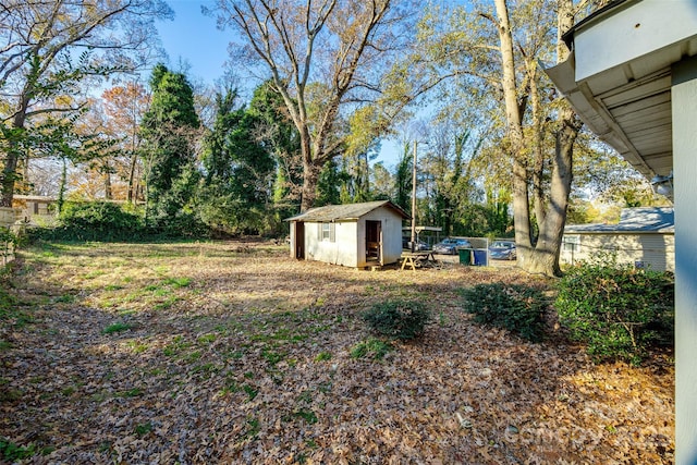 view of yard with a shed