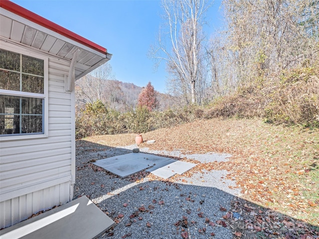 view of yard featuring a patio