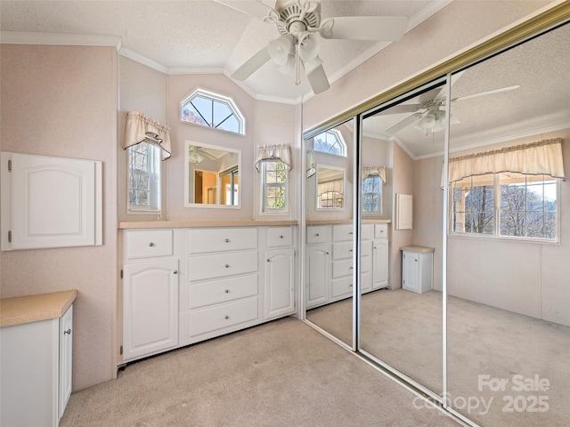 interior space with light carpet, a closet, vaulted ceiling, and ceiling fan