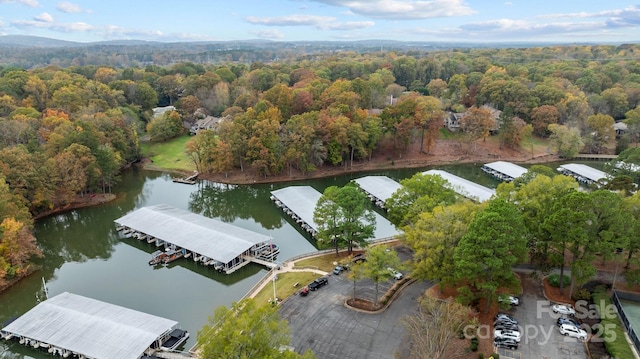 aerial view featuring a water view and a wooded view