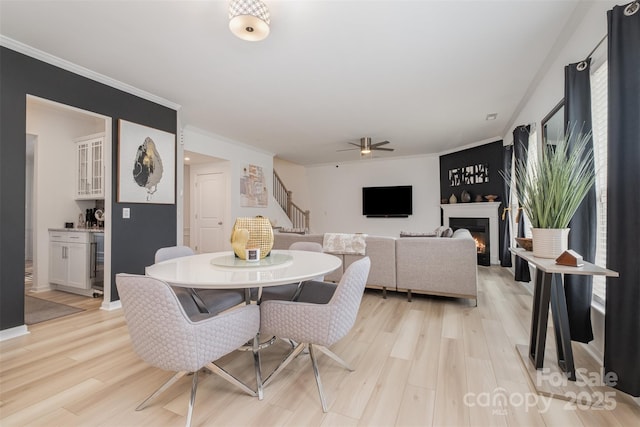 dining space featuring ceiling fan, beverage cooler, ornamental molding, and light hardwood / wood-style floors