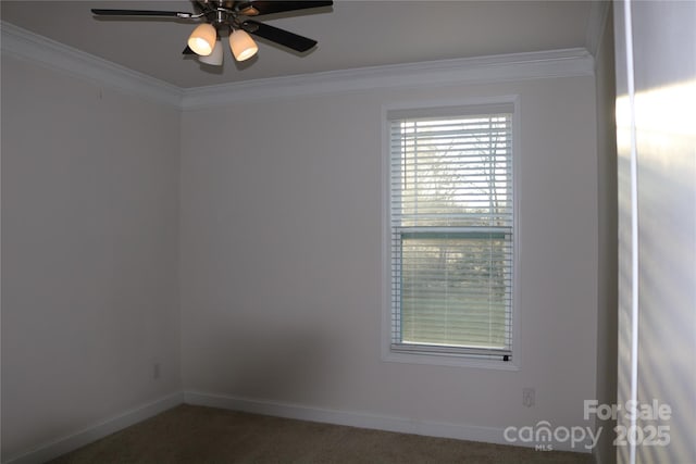 carpeted spare room with ceiling fan and ornamental molding