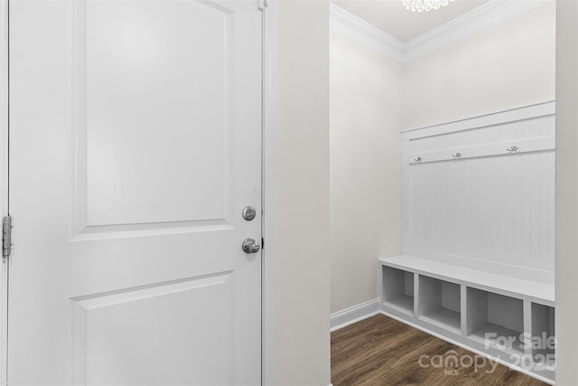 mudroom with crown molding and dark wood-type flooring