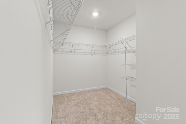 spacious closet with carpet