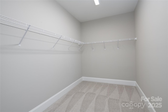 spacious closet with carpet floors