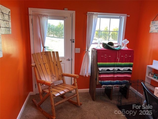 living area with carpet floors