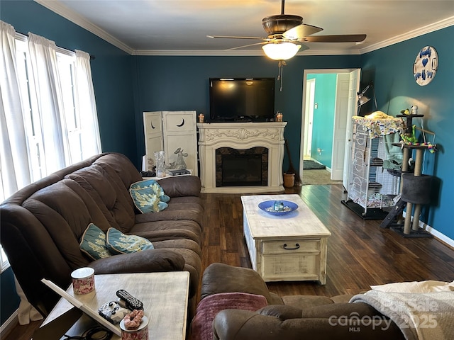 living room with ceiling fan, crown molding, and dark wood-type flooring