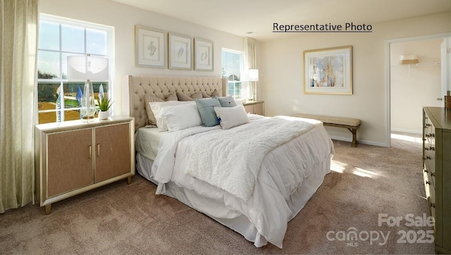 carpeted bedroom with multiple windows, a closet, and a walk in closet