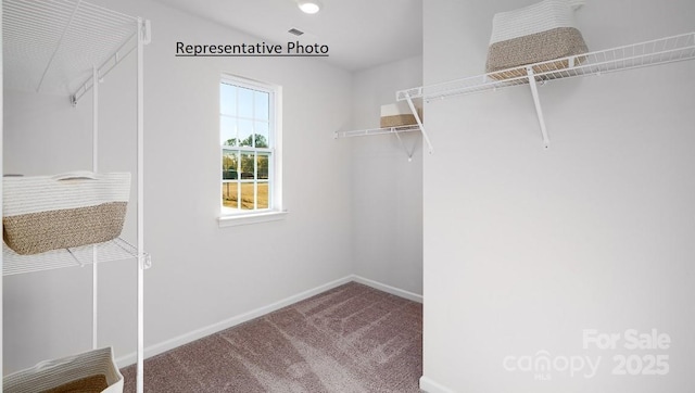 spacious closet featuring carpet