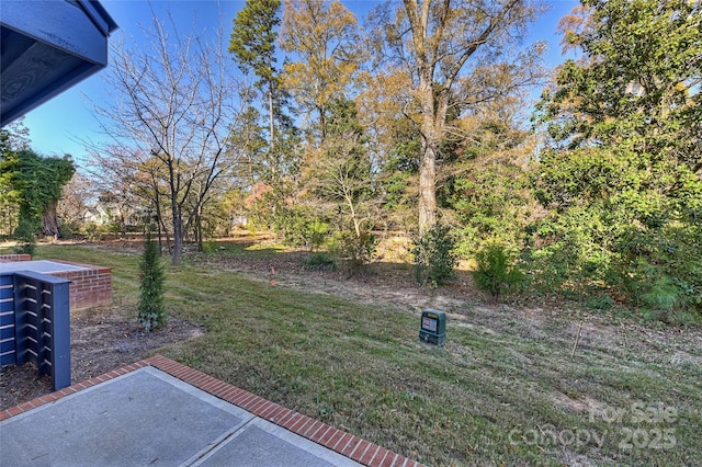 view of yard with a patio