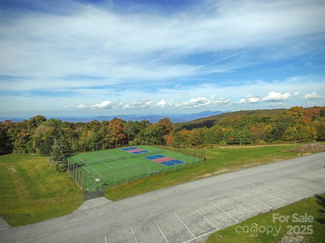 bird's eye view