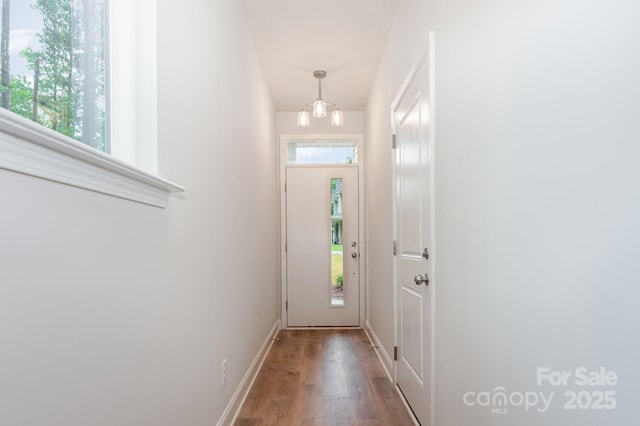 343 Gray Dr, Charlotte, NC 28213 - photo 4