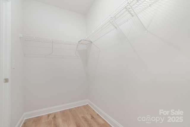 343 Gray Dr, Charlotte, NC 28213 - photo 17