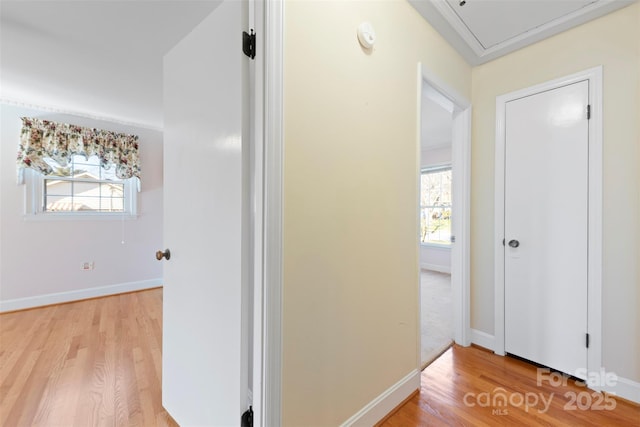 hallway with light hardwood / wood-style flooring